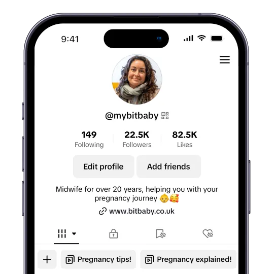 bitbaby stats